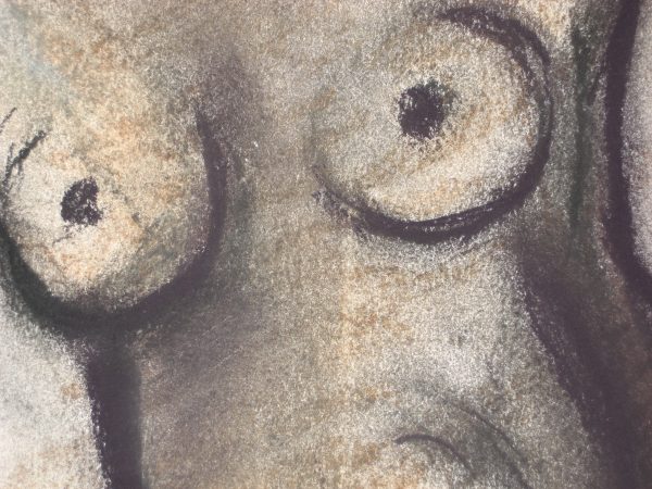 1990 : Sans titre, détail (35 x 40,6 cm : Dessin pastel sur carton)