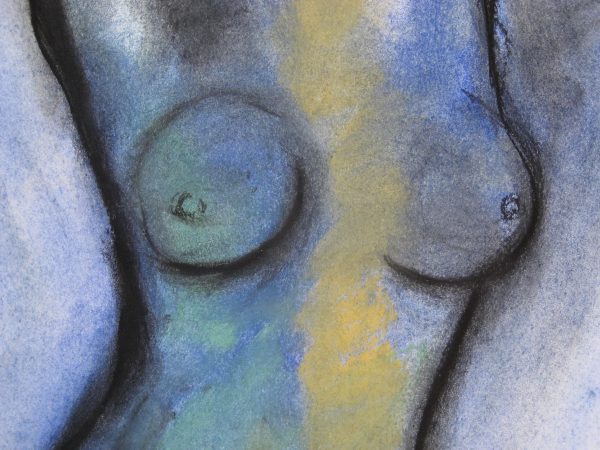 1990 : Sans titre, détail (37 x 40,6 cm : Dessin pastel sur carton)
